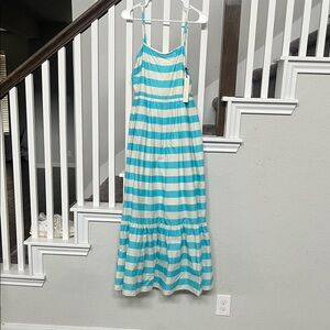 Pinch Blue and White Striped Maxi Dress